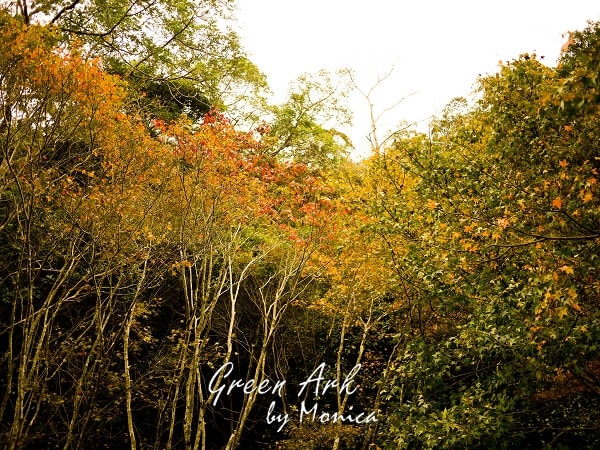 20250918-9208o 20250918-9208o