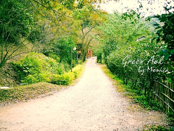 20250918-kwnv1 20250918-kwnv1