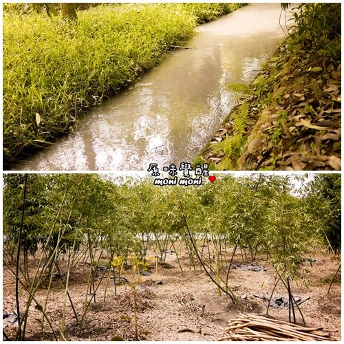 20250919-795a5 20250919-795a5