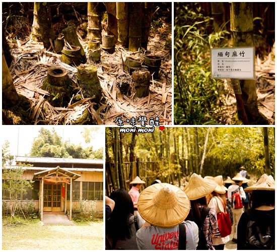 20250919-jktjr 20250919-jktjr