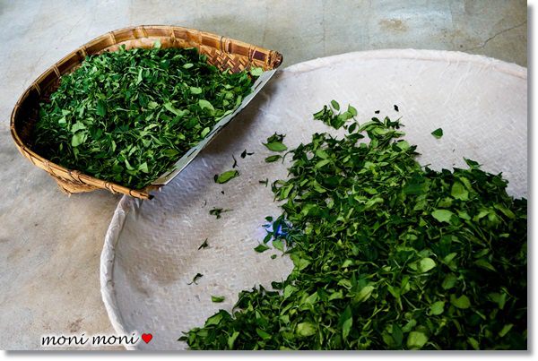 20250919-1m2as 20250919-1m2as