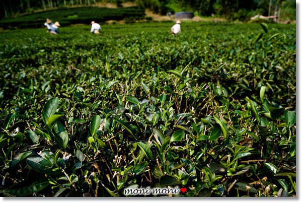 20250919-4vvmn 20250919-4vvmn