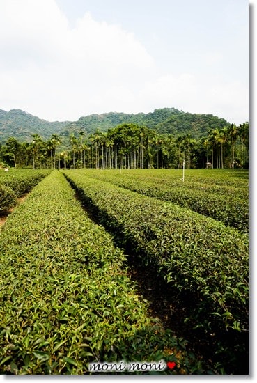 20250919-5b3i6 20250919-5b3i6