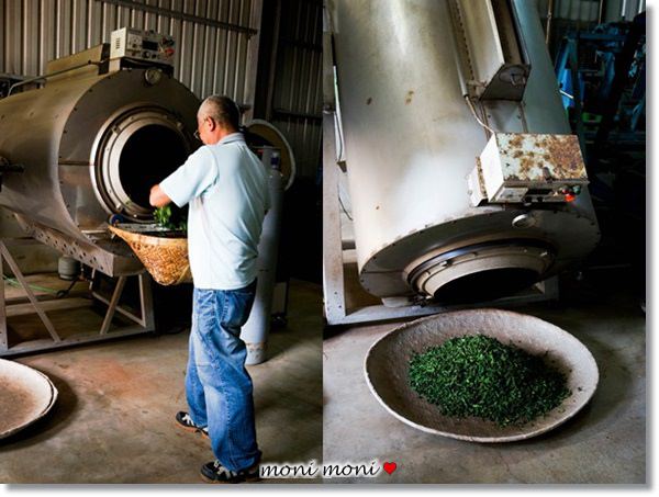 20250919-9zbob 20250919-9zbob