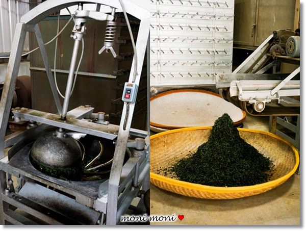 20250919-mz5u7 20250919-mz5u7