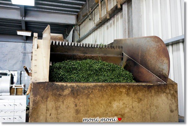 20250919-vlg58 20250919-vlg58