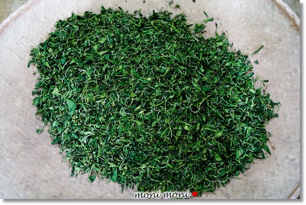 20250919-vsznd 20250919-vsznd