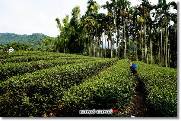 20250919-yepm9 20250919-yepm9