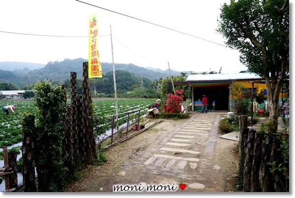 20250919-3nx0c 20250919-3nx0c