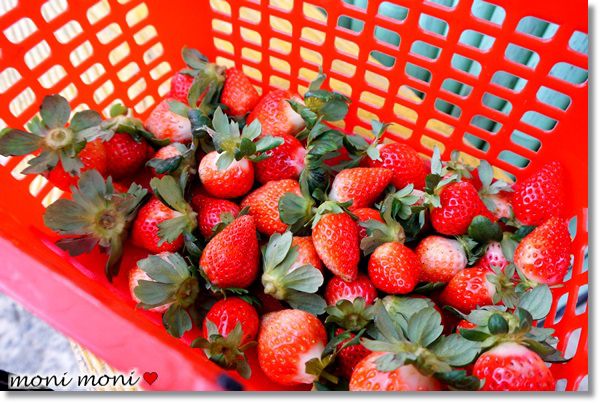 20250919-egy7i 20250919-egy7i