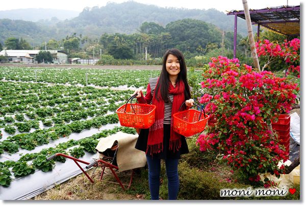 20250919-gv4r8 20250919-gv4r8