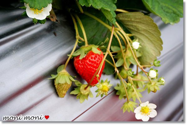 20250919-h4u9h 20250919-h4u9h