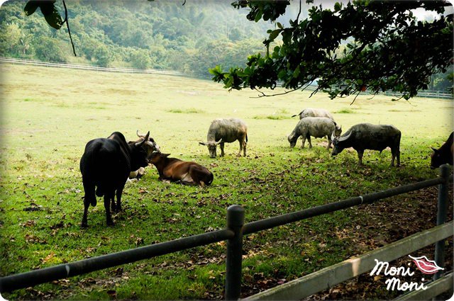 20250919-7ln65 20250919-7ln65