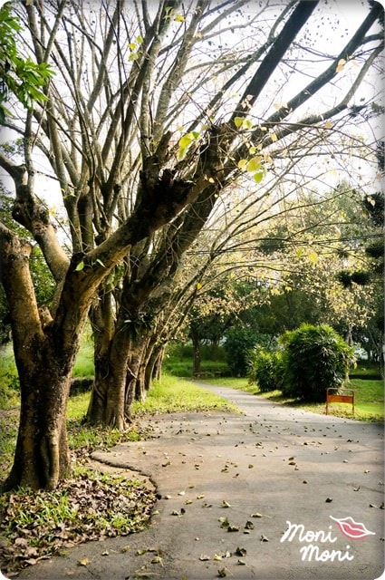 20250919-n12jd 20250919-n12jd