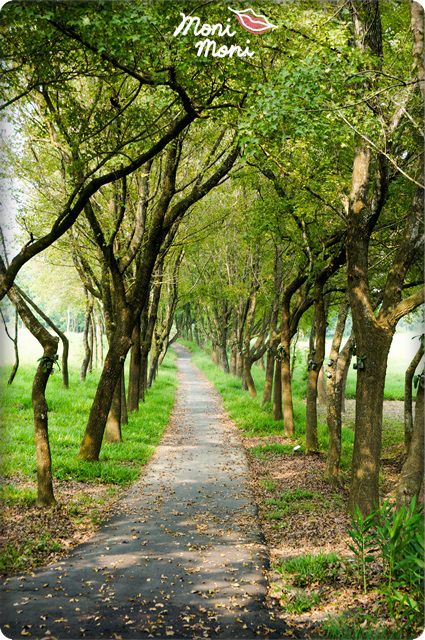 20250919-uf505 20250919-uf505