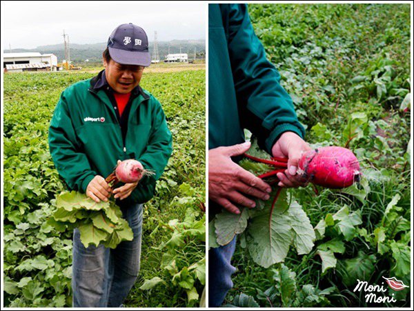 20250919-4mwmk 20250919-4mwmk