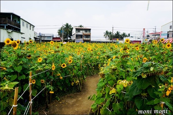 20250919-23jf0 20250919-23jf0