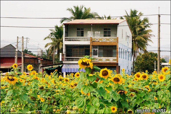 20250919-2ta2w 20250919-2ta2w