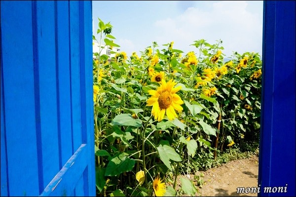 20250919-aqpp0 20250919-aqpp0