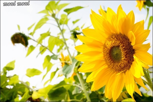 20250919-h6afl 20250919-h6afl