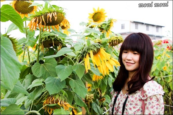 20250919-k9vsg 20250919-k9vsg