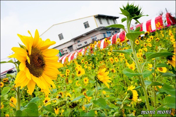 20250919-n64kr 20250919-n64kr