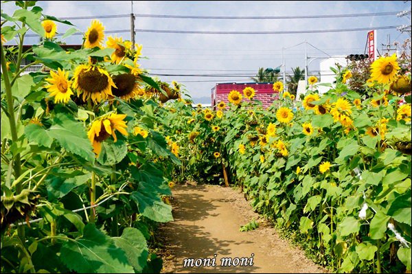 20250919-pmwcl 20250919-pmwcl