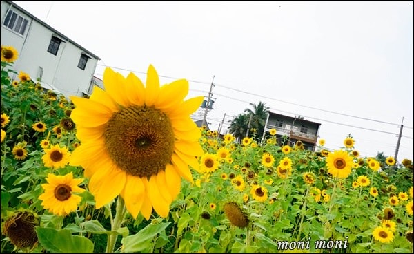 20250919-r3qoq 20250919-r3qoq