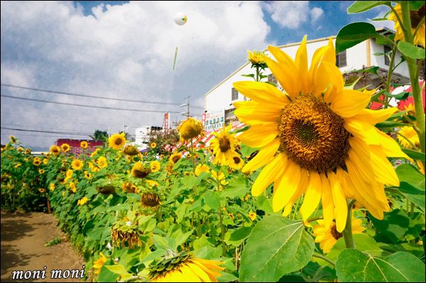 20250919-ujvos 20250919-ujvos