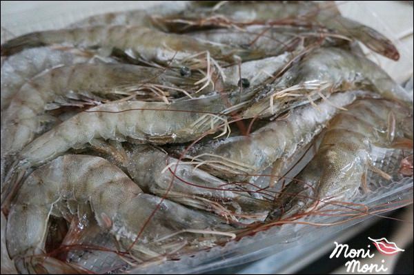 20250919-81scm 20250919-81scm