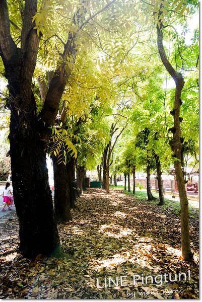 20250919-burdj 20250919-burdj