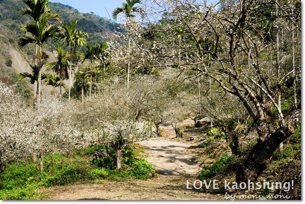 20250919-u0y3d 20250919-u0y3d