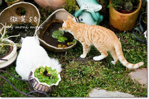 20250919-ofdk6 20250919-ofdk6