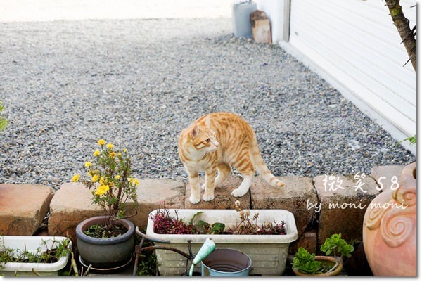 20250919-v2xzg 20250919-v2xzg