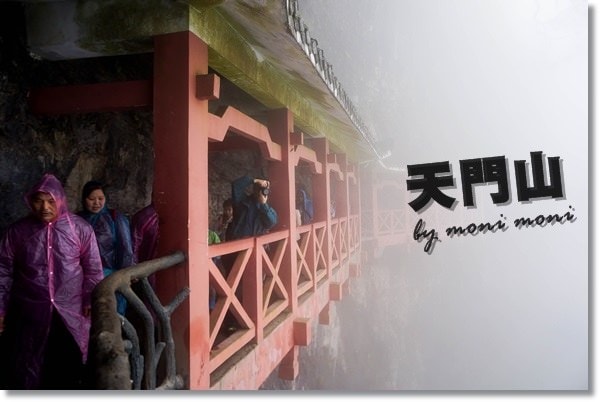 20250919-3ycyx 20250919-3ycyx