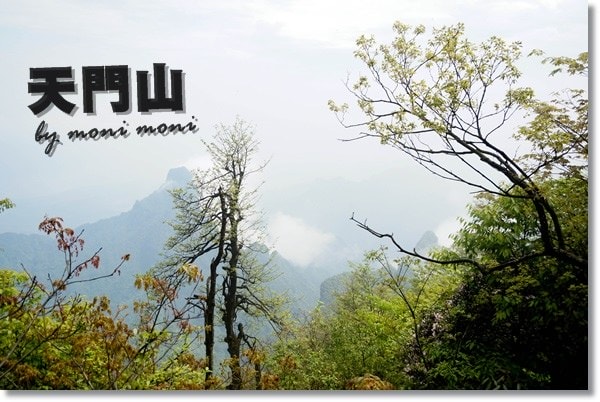 20250919-d5tg1 20250919-d5tg1