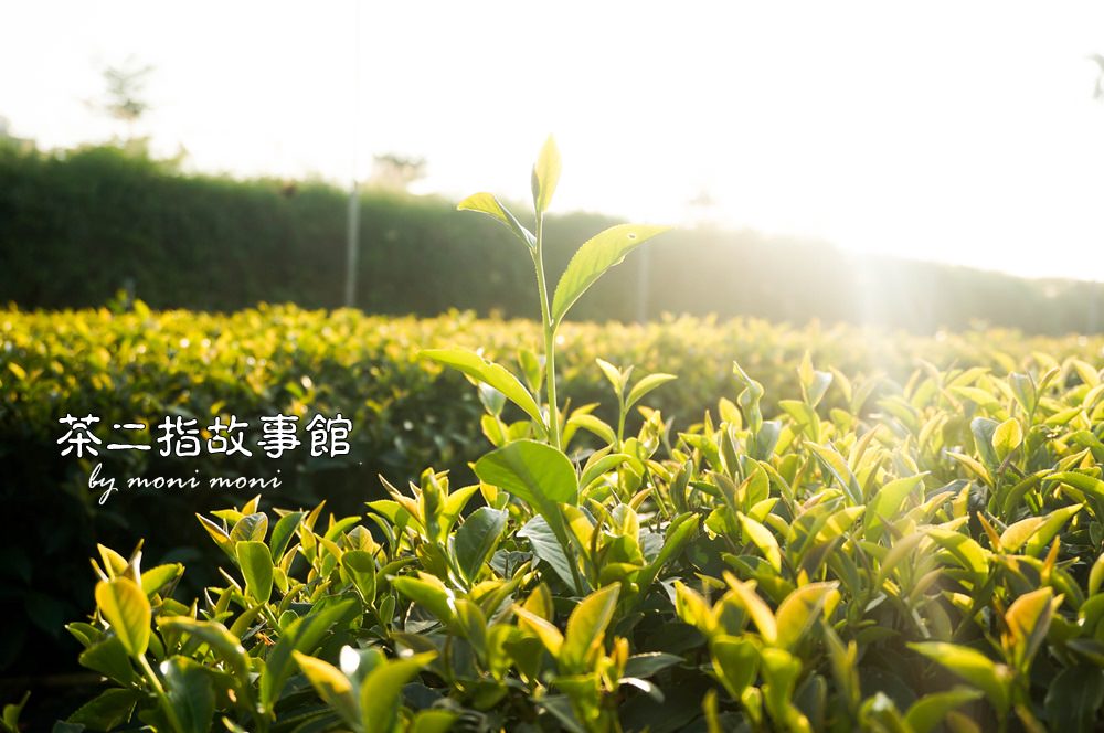 20250919-9e6ky 20250919-9e6ky