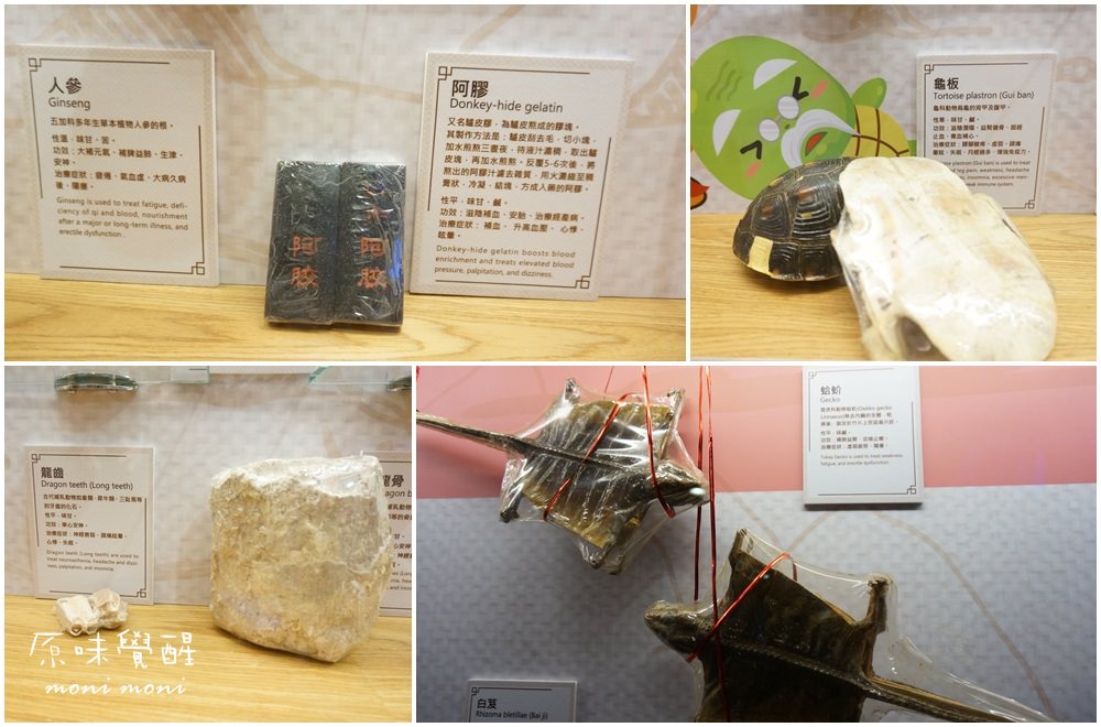 20250919-mpmzw 20250919-mpmzw