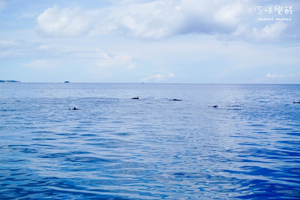 20250919-34p1f 20250919-34p1f