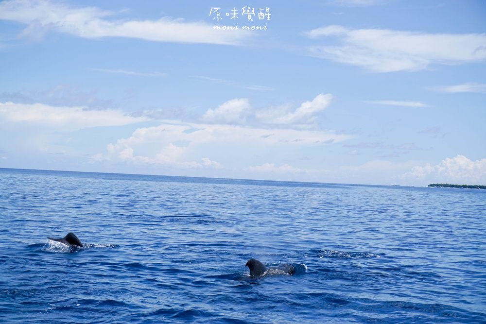 20250919-kkcl8 20250919-kkcl8