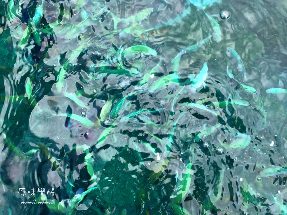 20250919-r66ze 20250919-r66ze