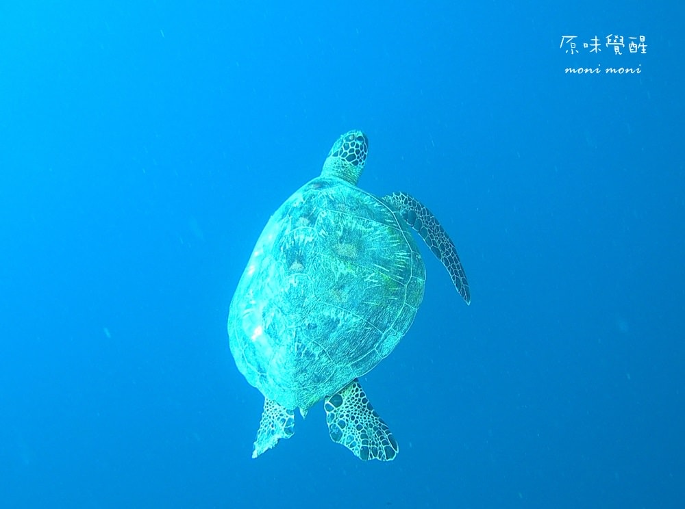 20250919-rj4v5 20250919-rj4v5