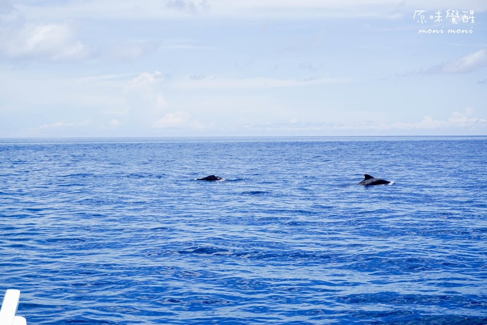 20250919-tluvw 20250919-tluvw