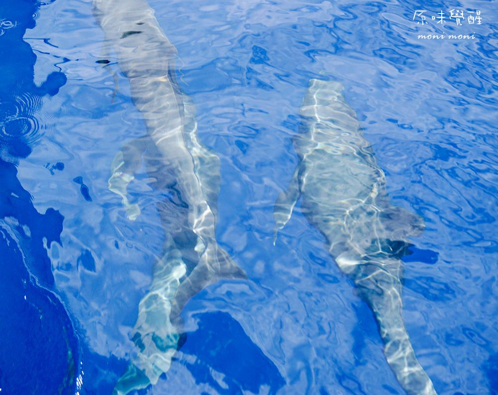 20250919-tu3ma 20250919-tu3ma