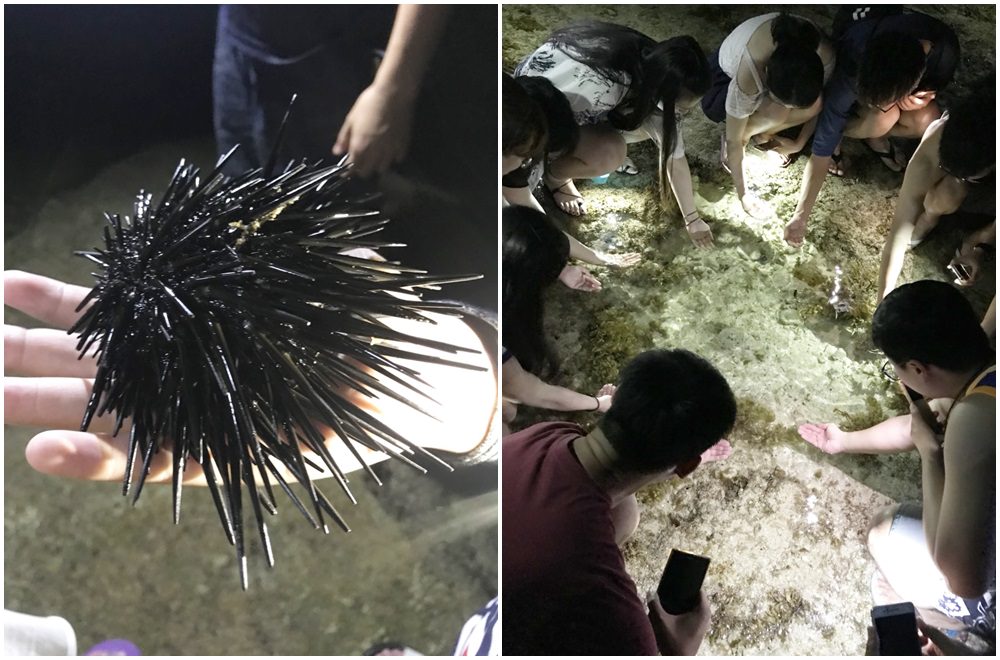 20250919-3zc2y 20250919-3zc2y