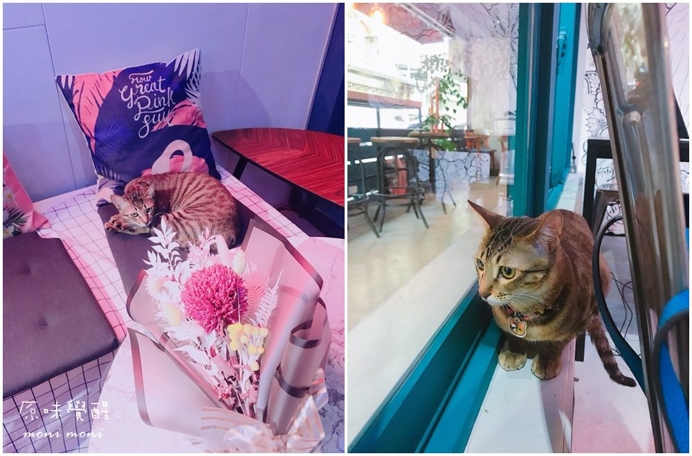 20250919-sgvbq 20250919-sgvbq