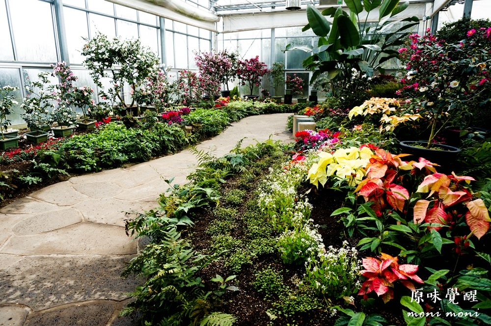 20250919-2e8c6 20250919-2e8c6