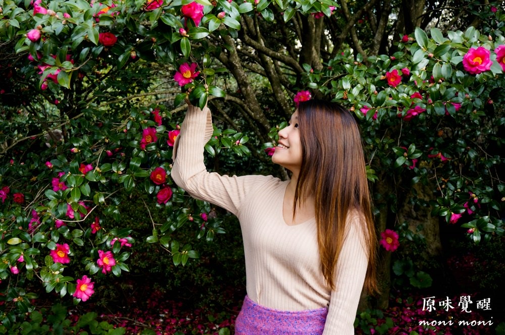 20250919-33i2z 20250919-33i2z