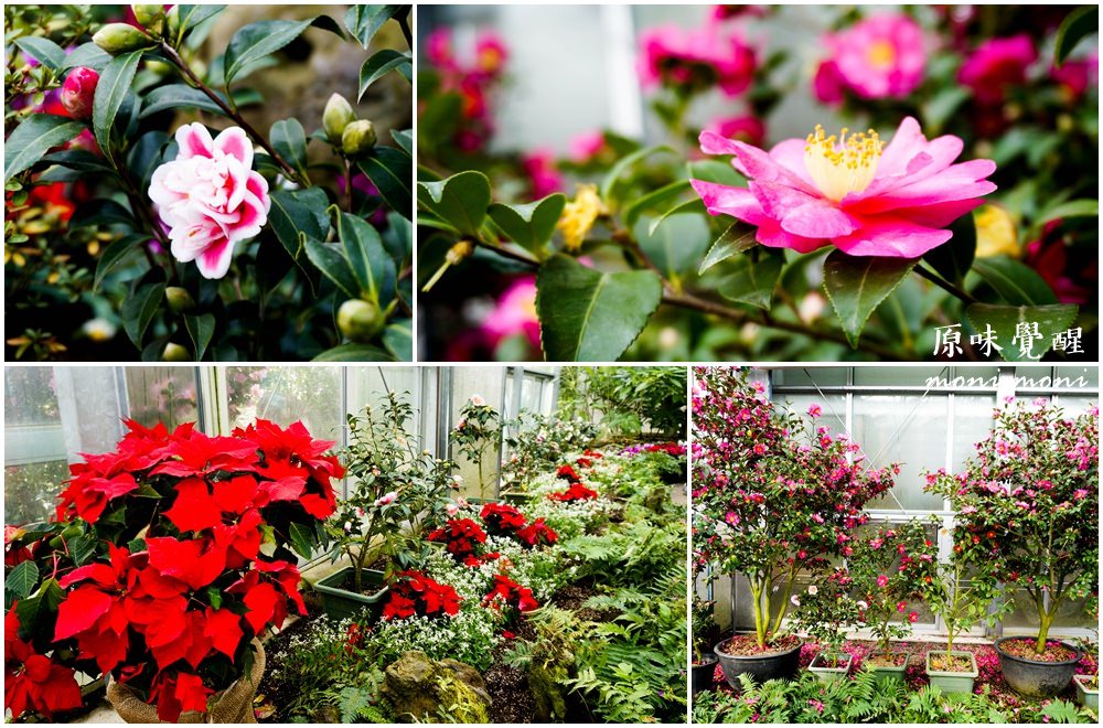 20250919-34rkg 20250919-34rkg