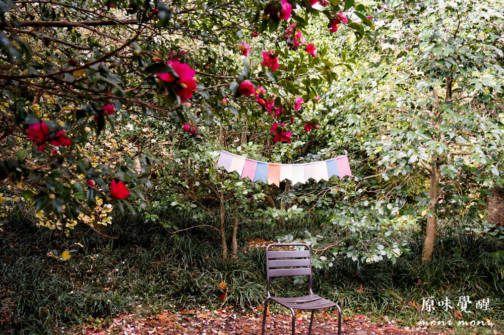 20250919-704od 20250919-704od